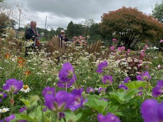 Tavistock Sensory Garden